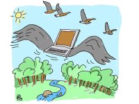 Faire cohabiter numérique et environnement