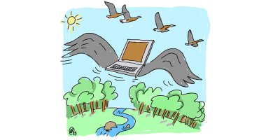 Numerique_Environnement_cBenoitRaucente1707769539600_1.jpg