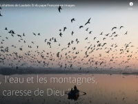 les plus belles citations de Laudato Si