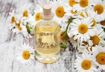 Image_fiches_de_macrts.jpg