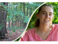 Série vidéo "Des arbres qui marchent"