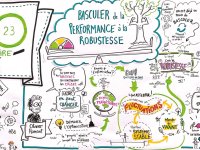 Site consacré à la Robustesse