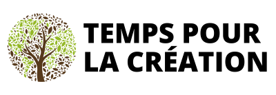 FR_SOC_1.png
