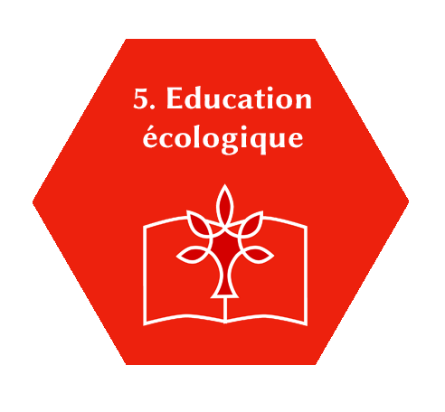 image 5._Eductaion.png (22.1kB)
Lien vers: education